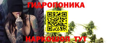 шишки Кунгур