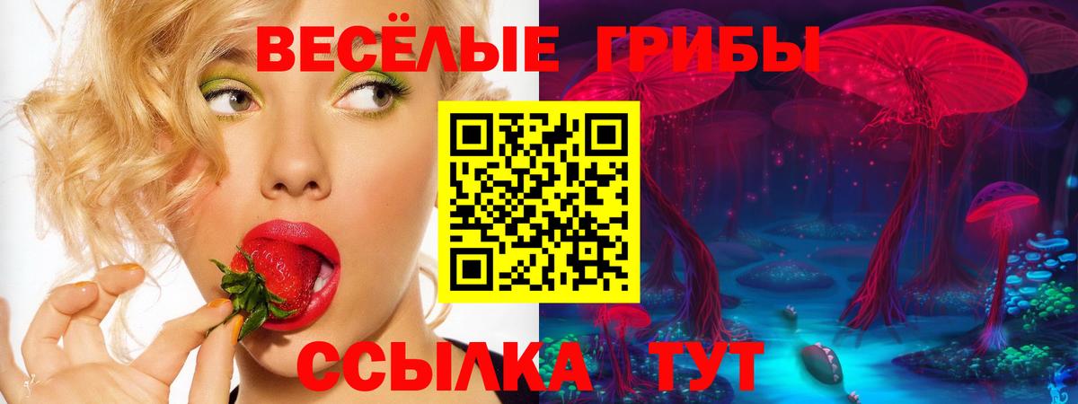 Галлюциногенные грибы Psilocybe  купить   Вход с VPN  Черкесск  Псилоцибиновые грибы ЛСД 