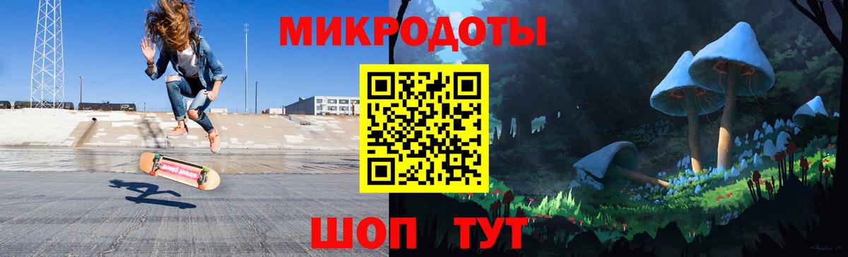 Псилоцибиновые грибы Psilocybe Черкесск