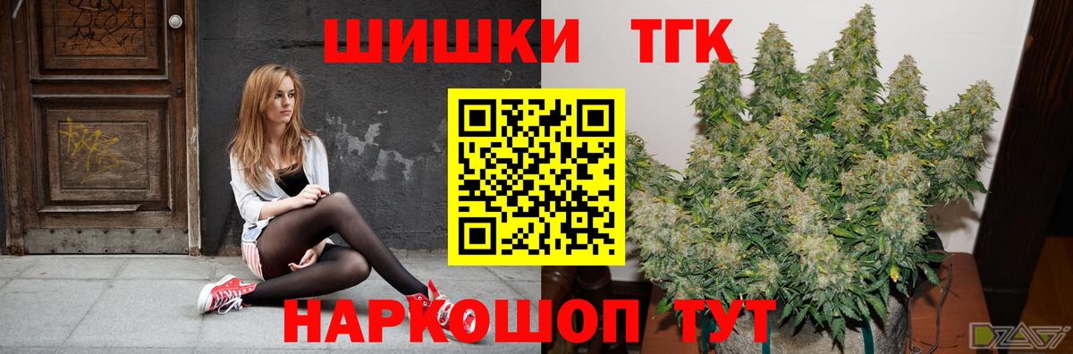 Канабис сатива Черкесск